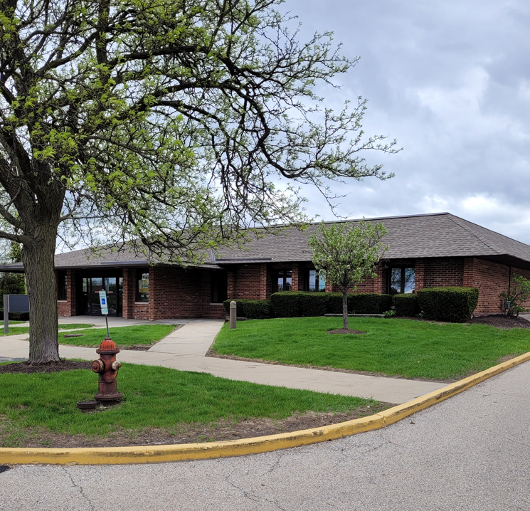 Friendly and Furry Cat Rescue location